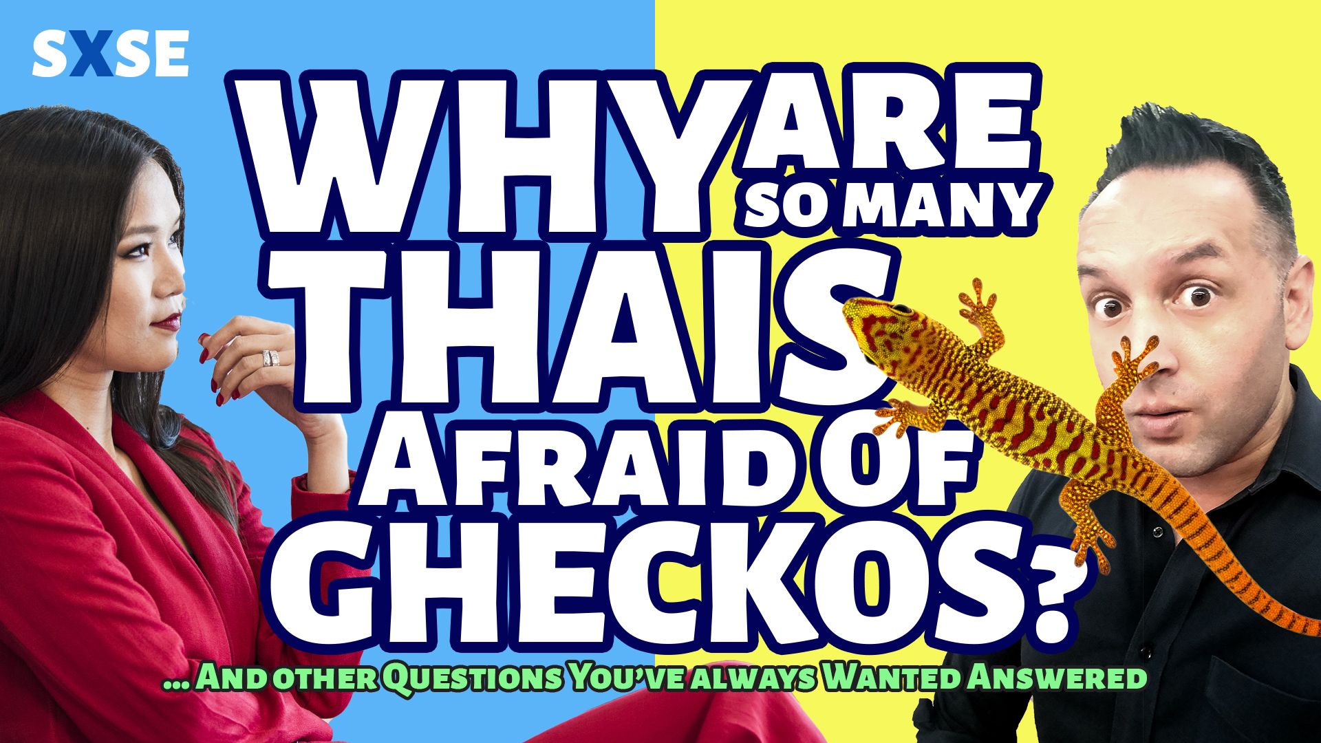 Why Are Many Thais Afraid of Gheckos (jingjok)? And other Questions We've Always Wanted to Ask Each Other